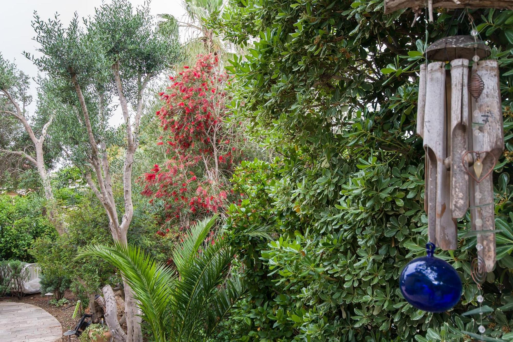 Homey Suite In Zichron Yaakov Zikhron Ya‘akov Eksteriør billede